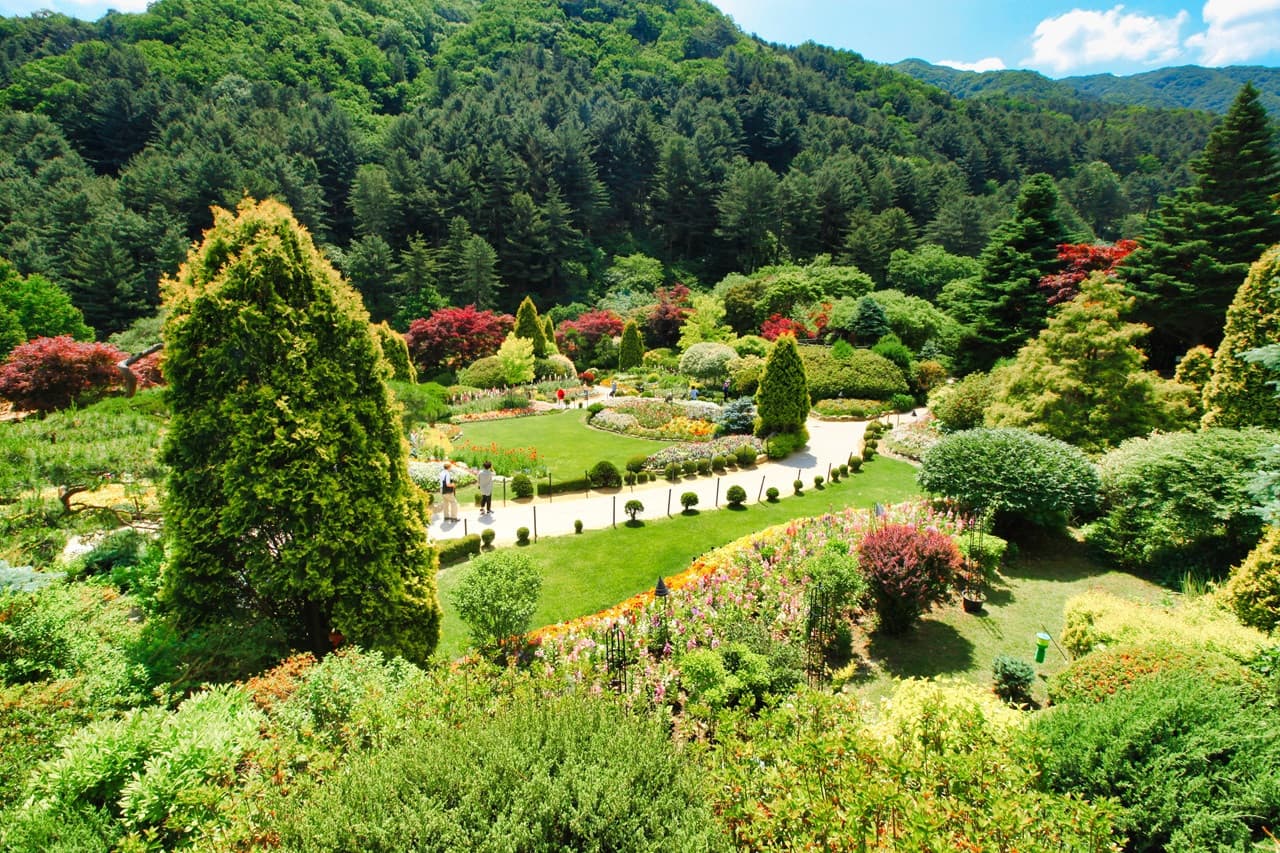 Nami Island, Mount Seorak, and Garden of Morning Calm Full-Day Tour from Seoul - სურათი 27