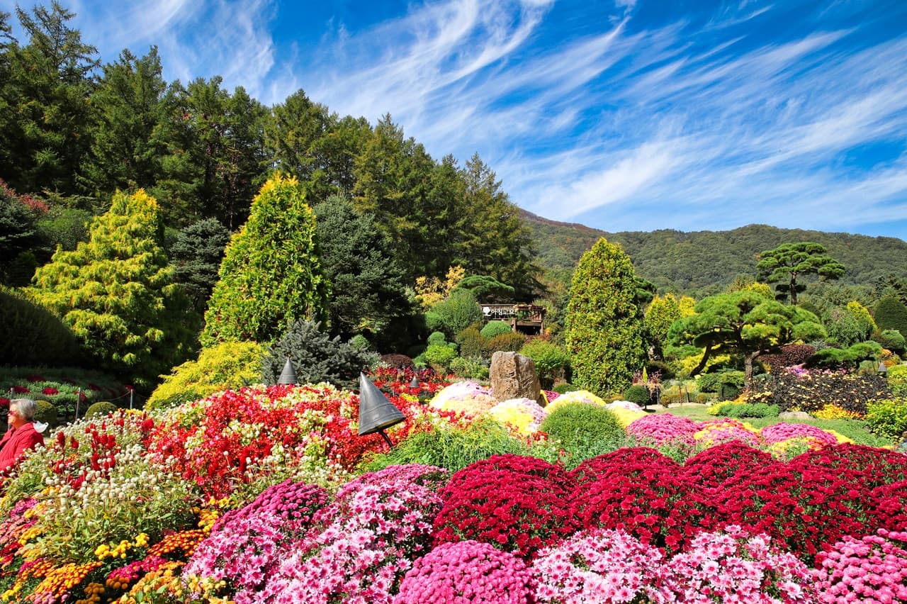 Nami Island, Mount Seorak, and Garden of Morning Calm Full-Day Tour from Seoul - სურათი 28