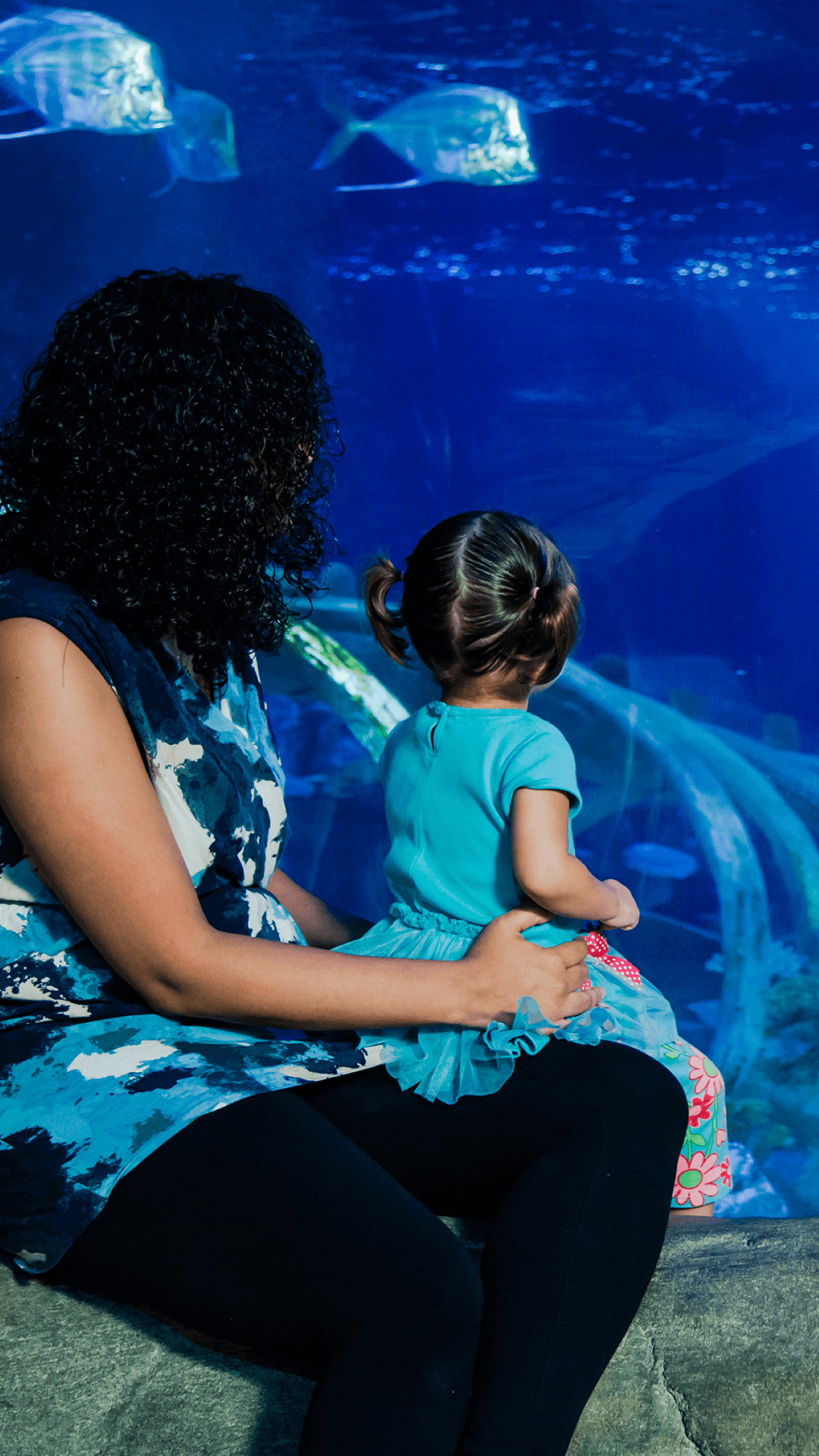 SEA LIFE Paris Aquarium Ticket - სურათი 4
