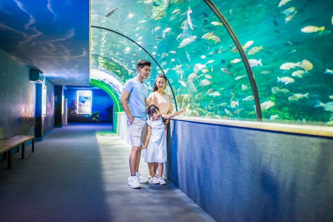 Vinpearl Aquarium Times City Hanoi Ticket - სურათი 6