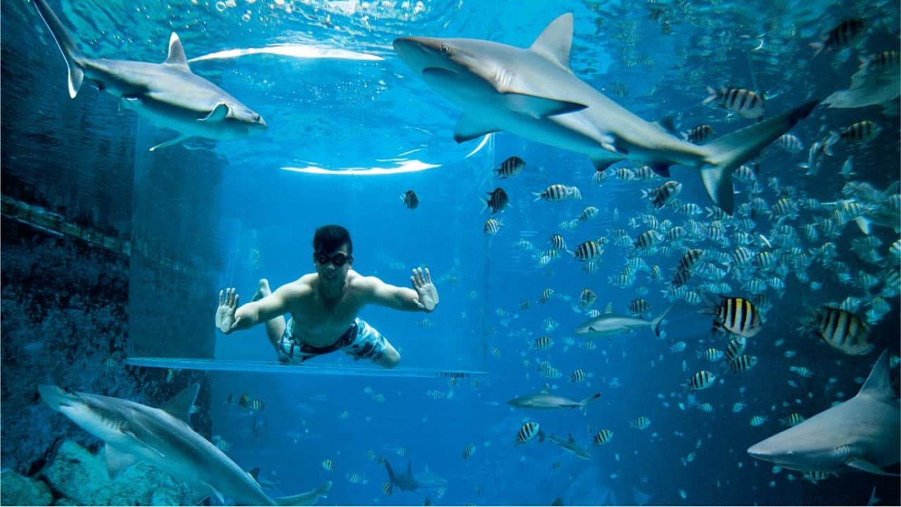 Ultimate Marine Life Experience at Adventure Cove Waterpark - სურათი 6