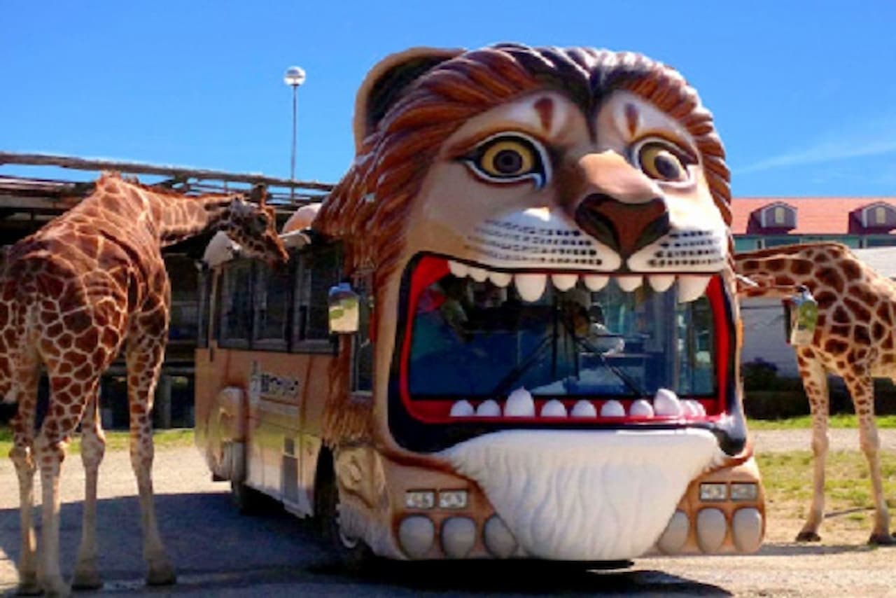 Nasu Safari Park Ticket - სურათი 3