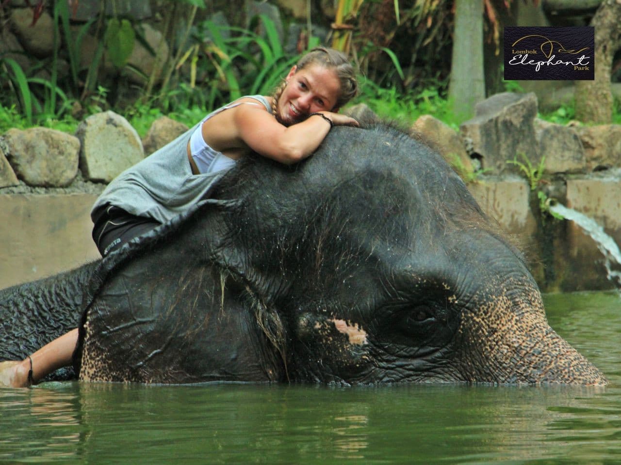 Lombok Wildlife Park Elephant Bath Experience - სურათი 4