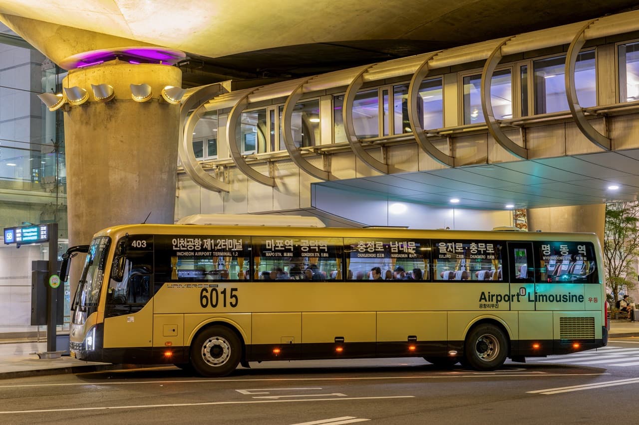 Airport Limousine Bus Transfers from Incheon International Airport to Seoul - სურათი 7