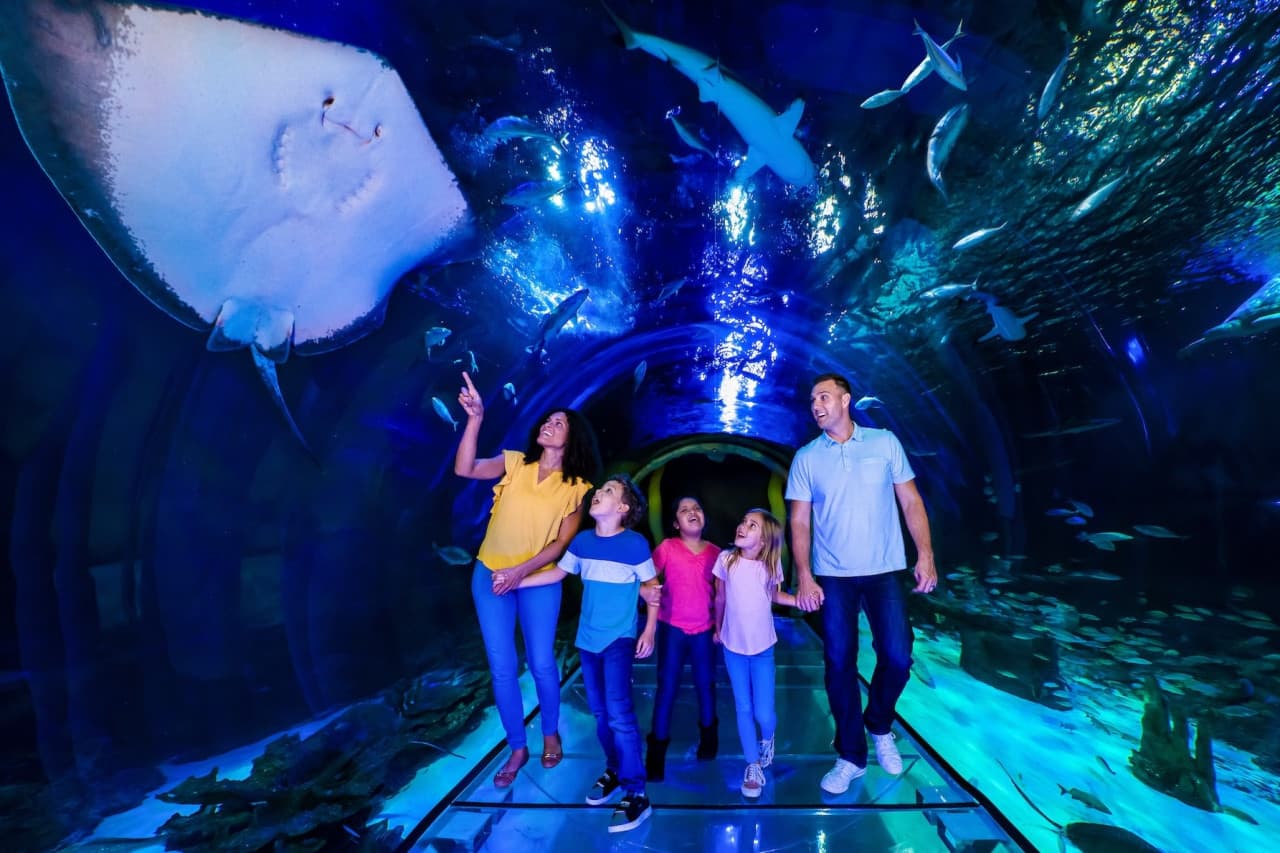 COMBO: The Merlin Florida Ticket - Admission to 7 Family Attractions - სურათი 13