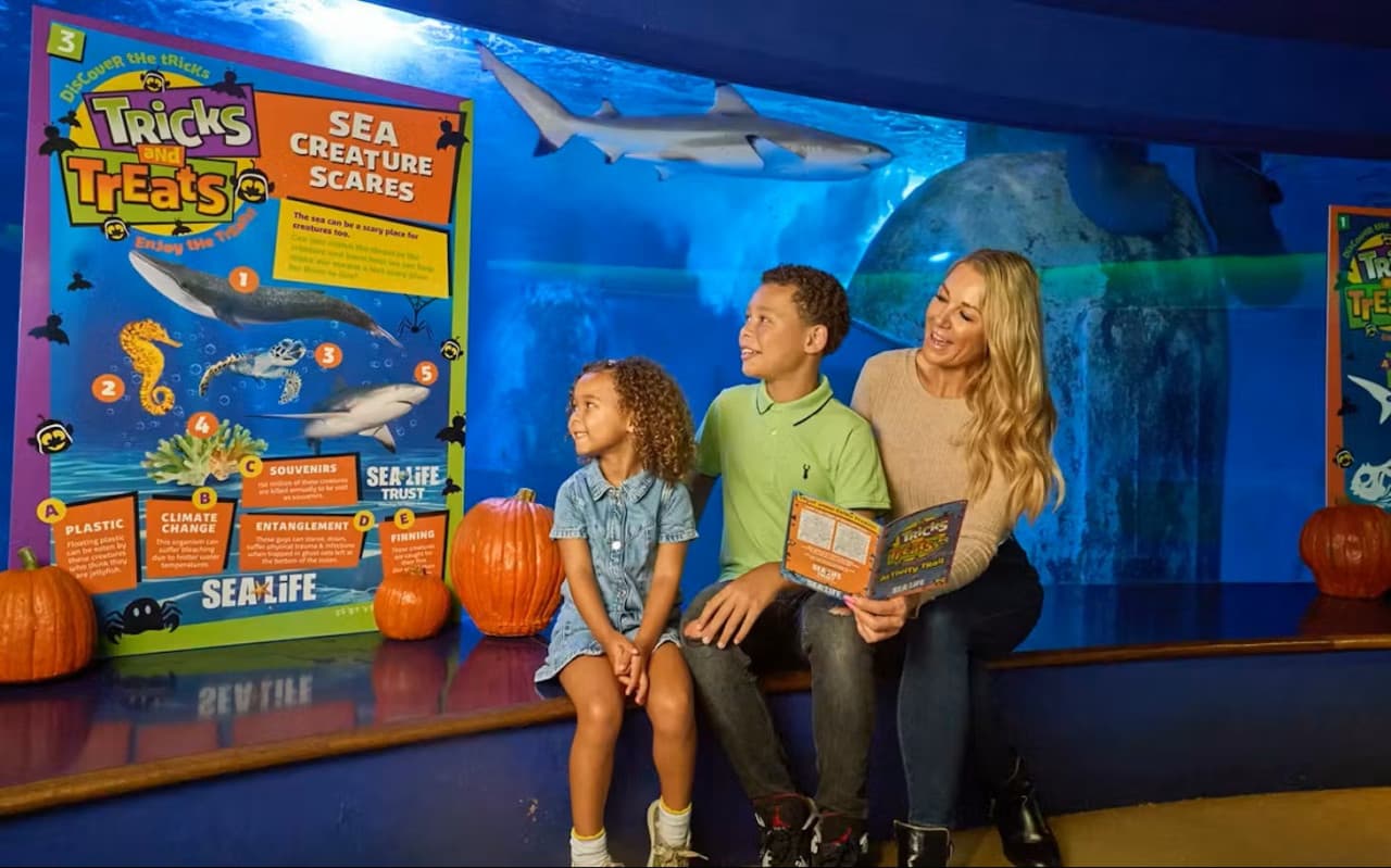SEA LIFE New Jersey Aquarium Ticket - სურათი 2