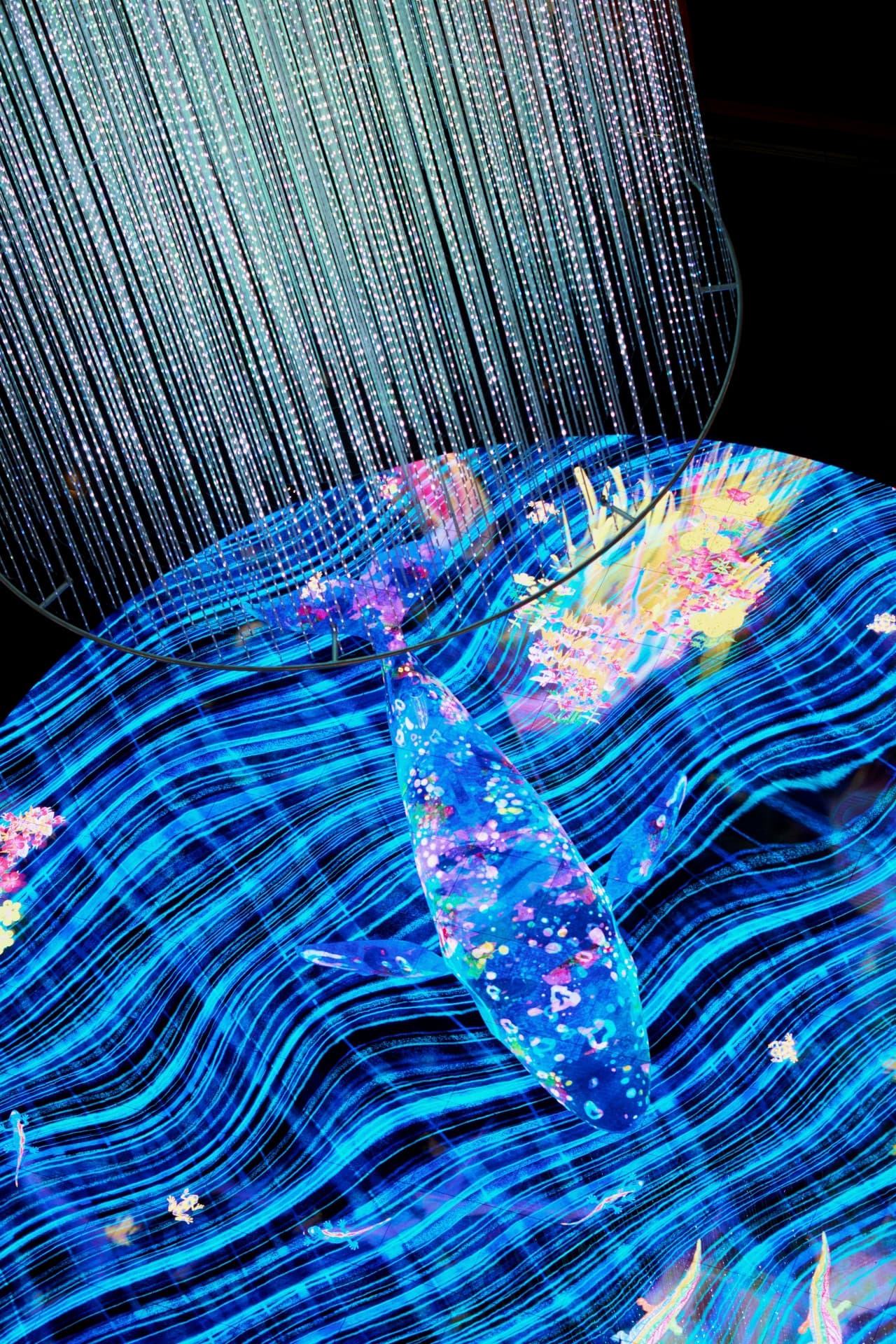 Digital Light Canvas by teamlab Ticket - მთავარი სურათი