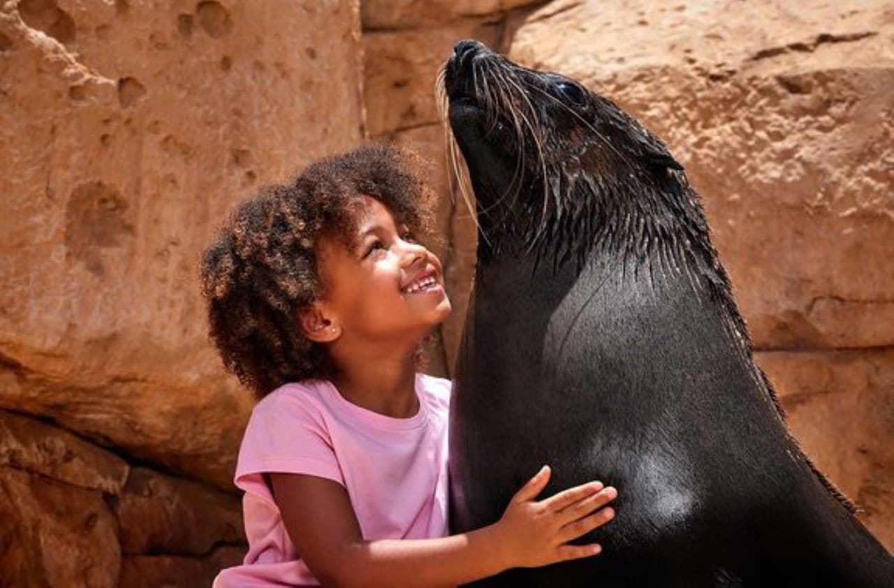 Atlantis Dubai Ticket - სურათი 11