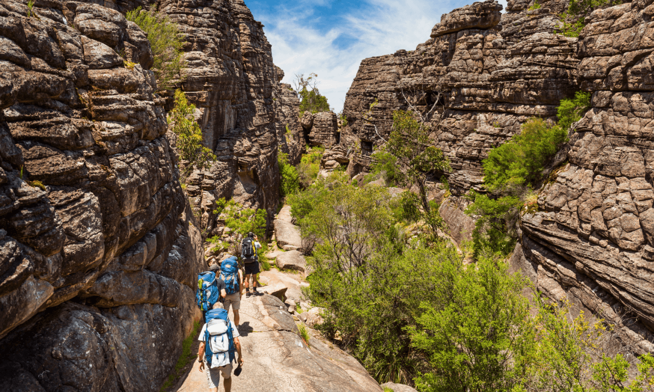 Grampians National Park Day Tour from Melbourne - მთავარი სურათი