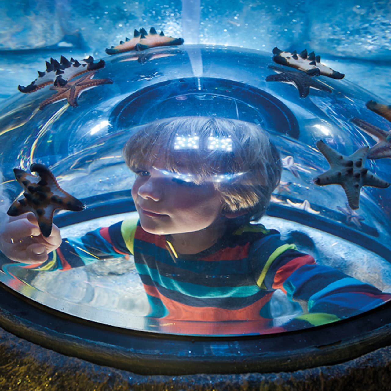 SEA LIFE New Jersey Aquarium Ticket - სურათი 6