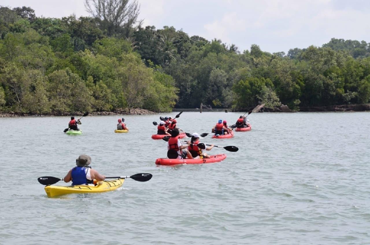 Kayaking at Ketam Island - სურათი 15