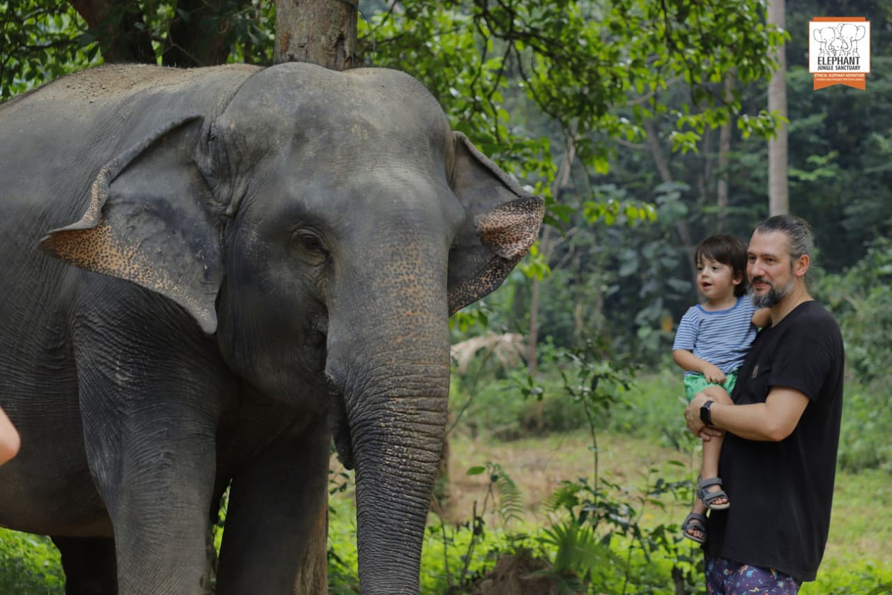 Elephant Jungle Sanctuary Koh Samui - სურათი 8