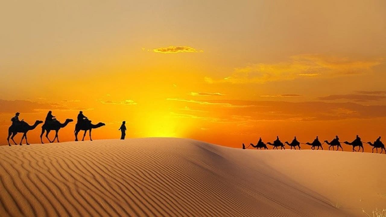 Liwa Desert Safari Tour - სურათი 2