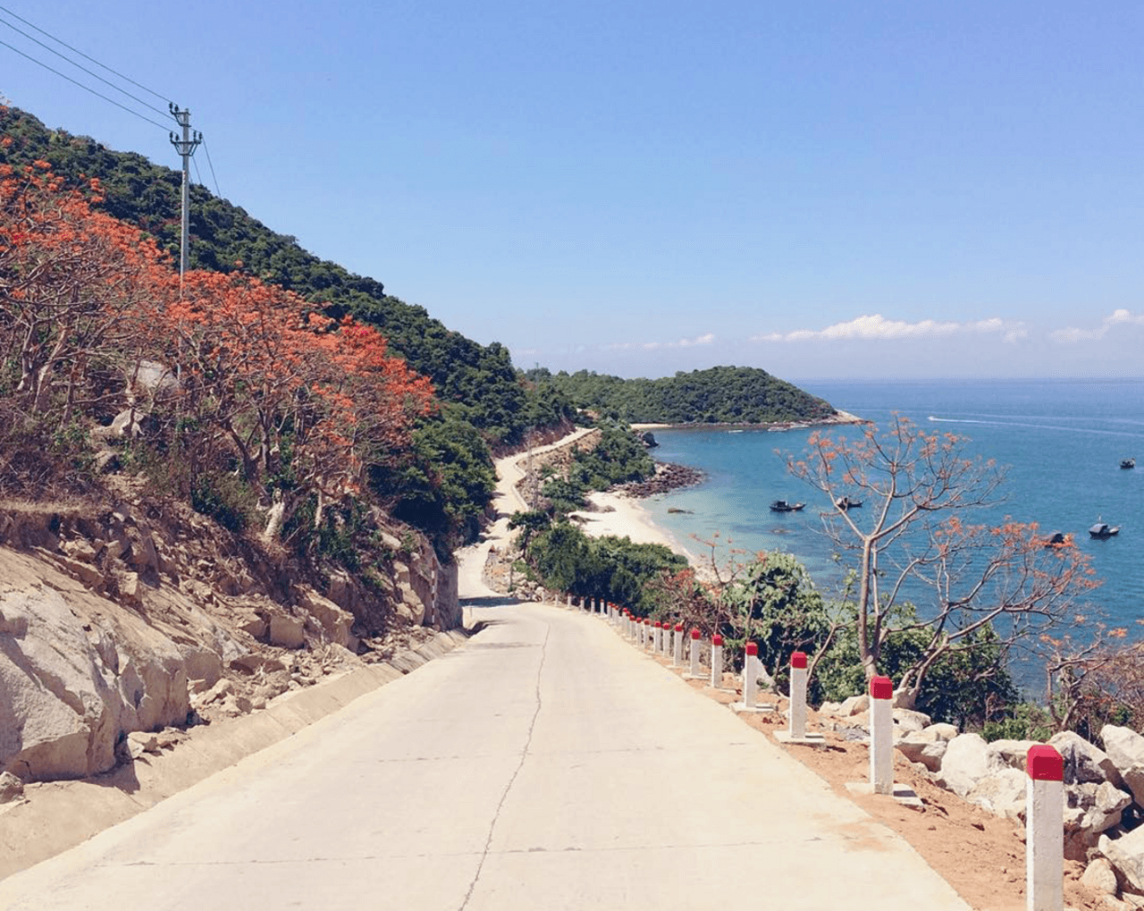 Cham Island Tour from Da Nang - სურათი 2