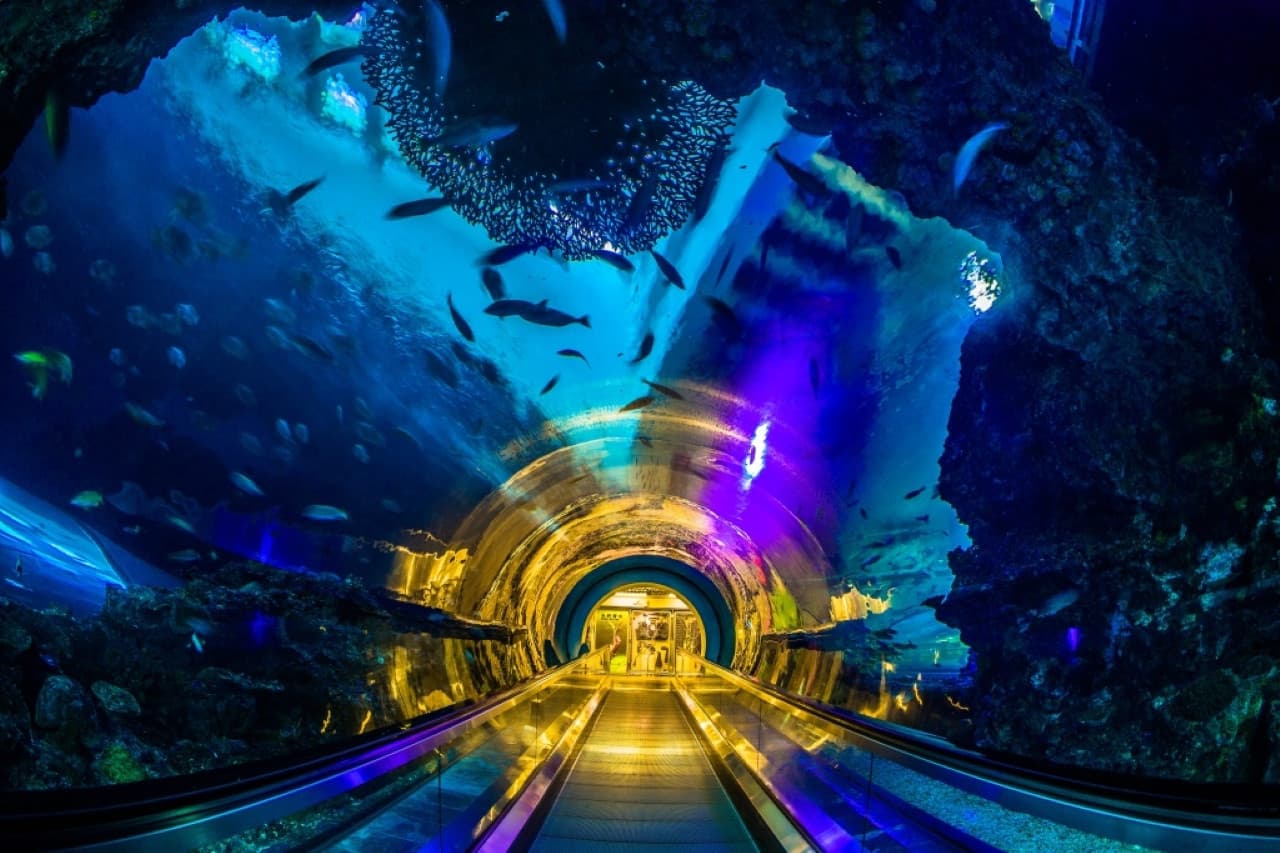 Pingtung National Museum of Marine Biology and Aquarium Ticket - სურათი 7