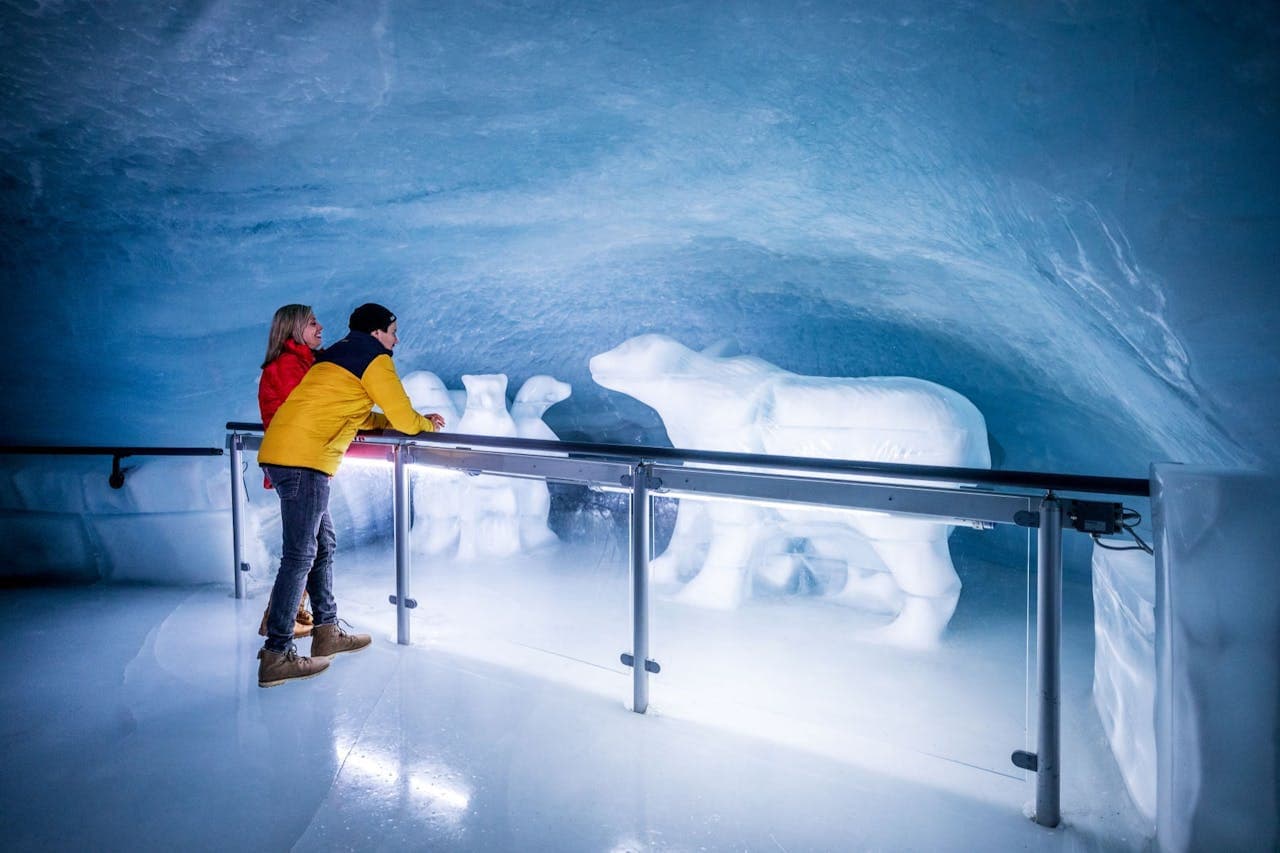 Jungfraujoch: Roundtrip Train from Grindelwald - სურათი 3