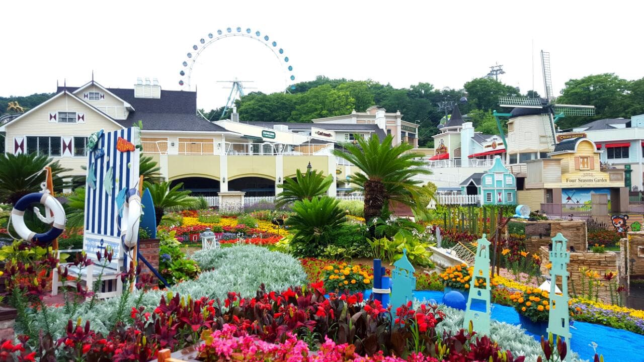 Everland Theme Park Ticket - სურათი 14