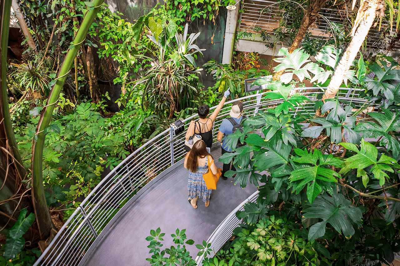 California Academy of Sciences Ticket - სურათი 3