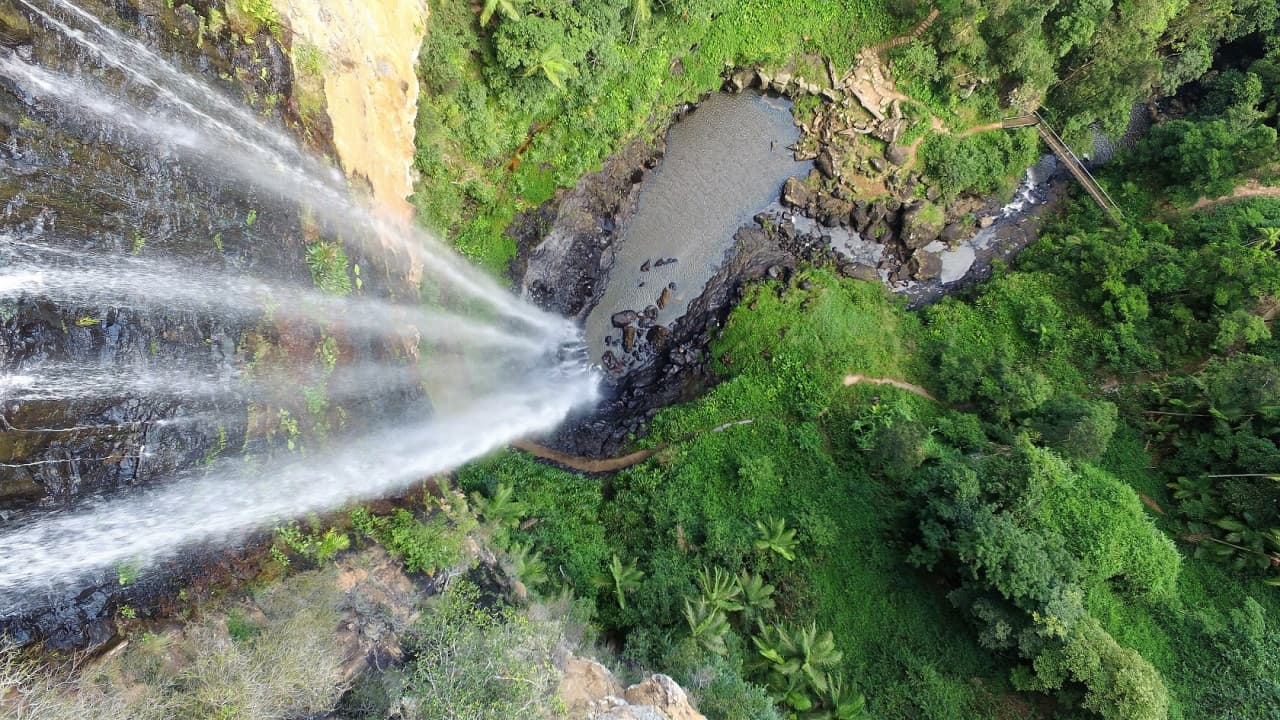 Springbrook National Park Tour: Natural Bridge and Waterfalls - სურათი 8