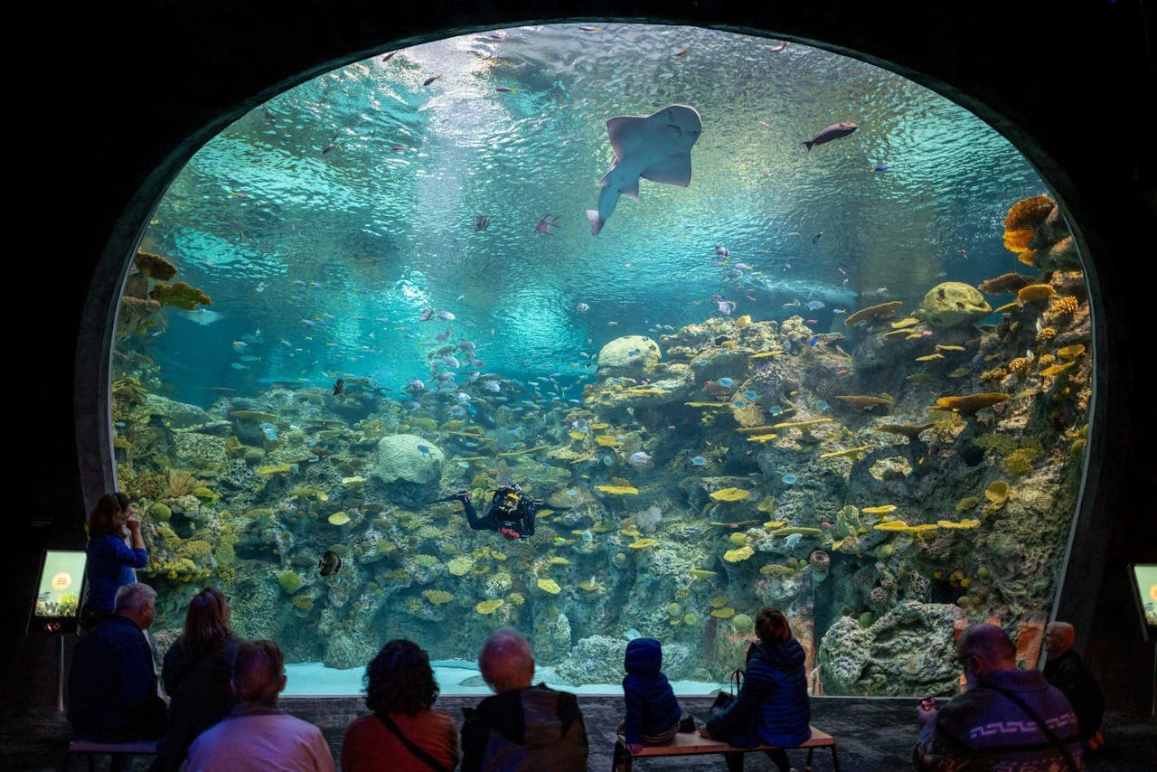 Seattle Aquarium Ticket - მთავარი სურათი
