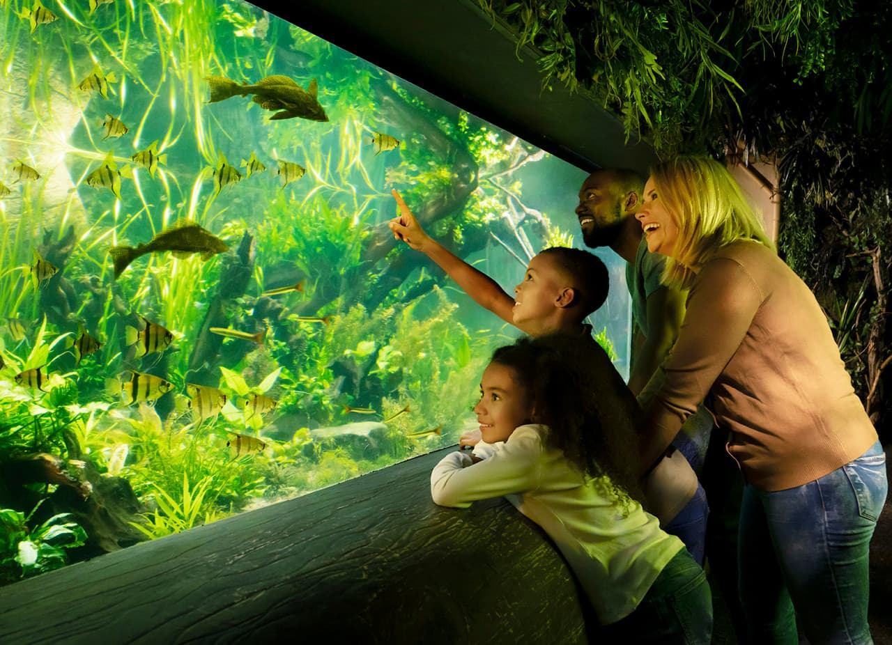 SEA LIFE London Aquarium Ticket - სურათი 5