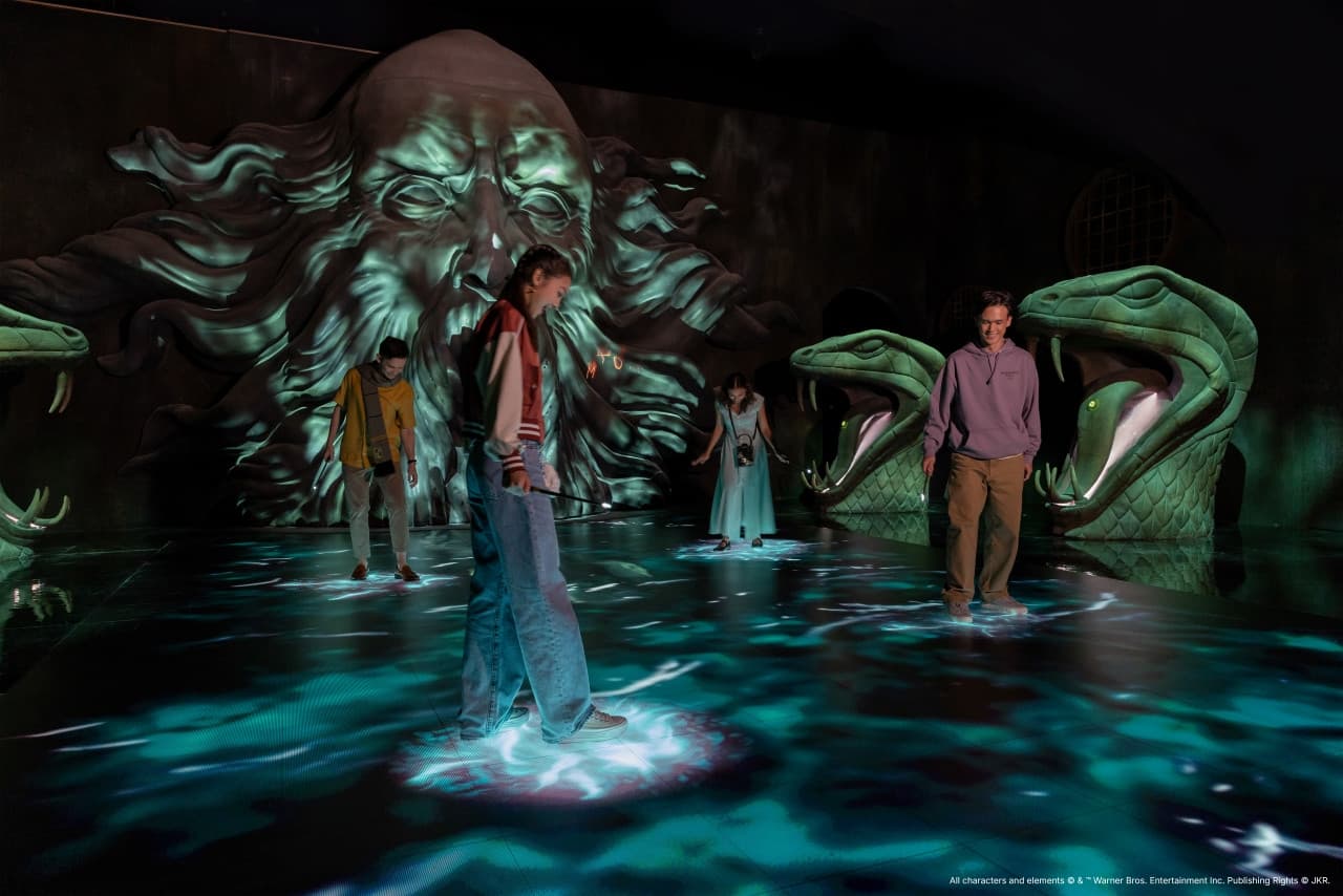 Harry Potter: Visions of Magic - სურათი 3