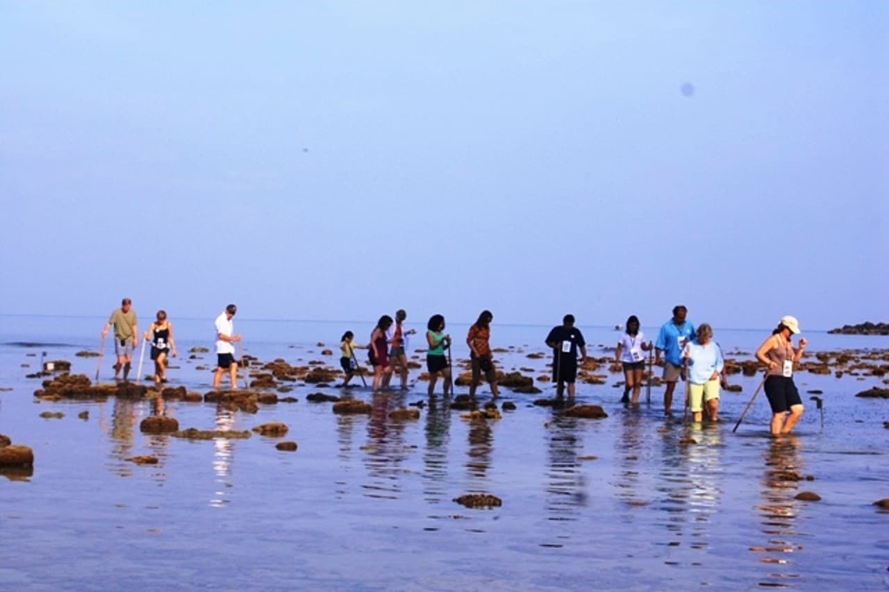 Desaru Beach and Tide Pool Walk - სურათი 10