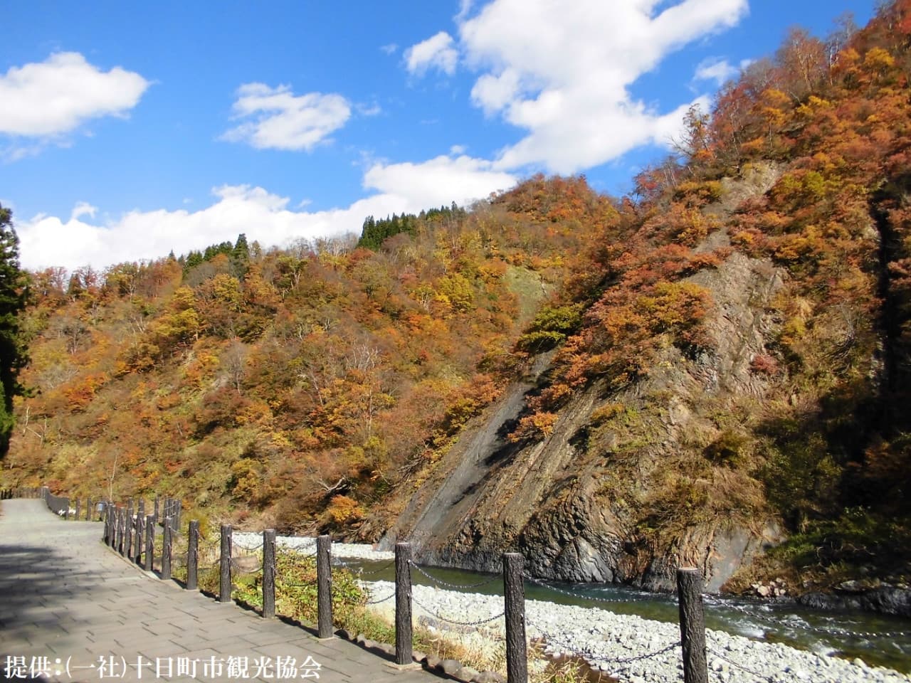 Kiyotsukyo Gorge Tunnel Ticket - სურათი 3