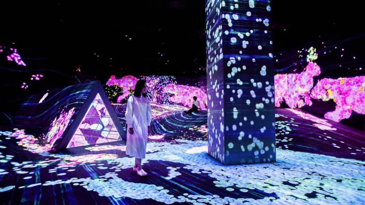 teamLab Forest Fukuoka - სურათი 4