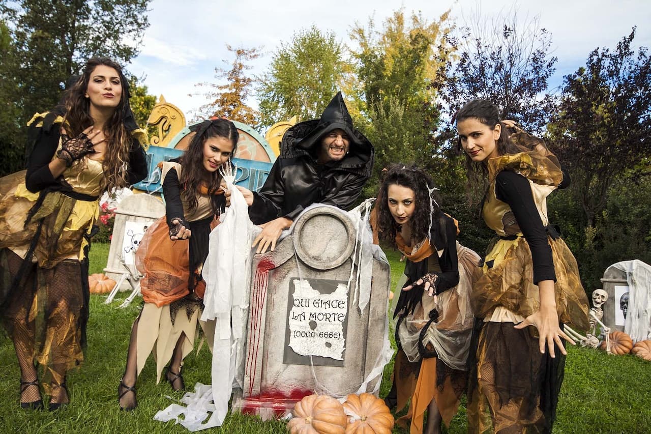 MagicLand Ticket - სურათი 5