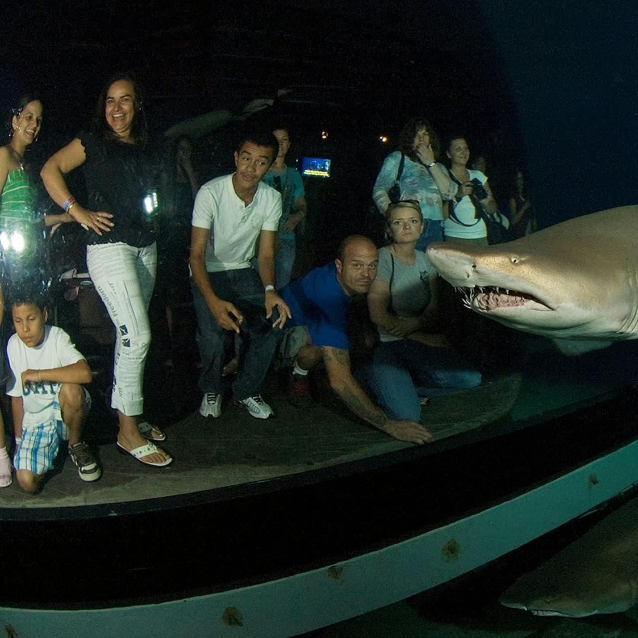 Downtown Aquarium Denver Ticket - სურათი 11