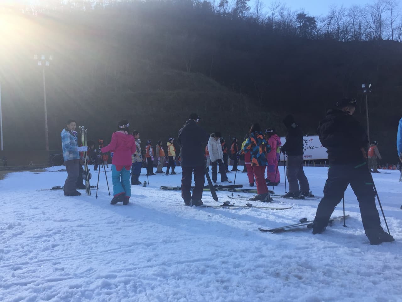 Elysian Gangchon Ski Resort and Nami Island Full-Day Tour from Seoul - სურათი 9