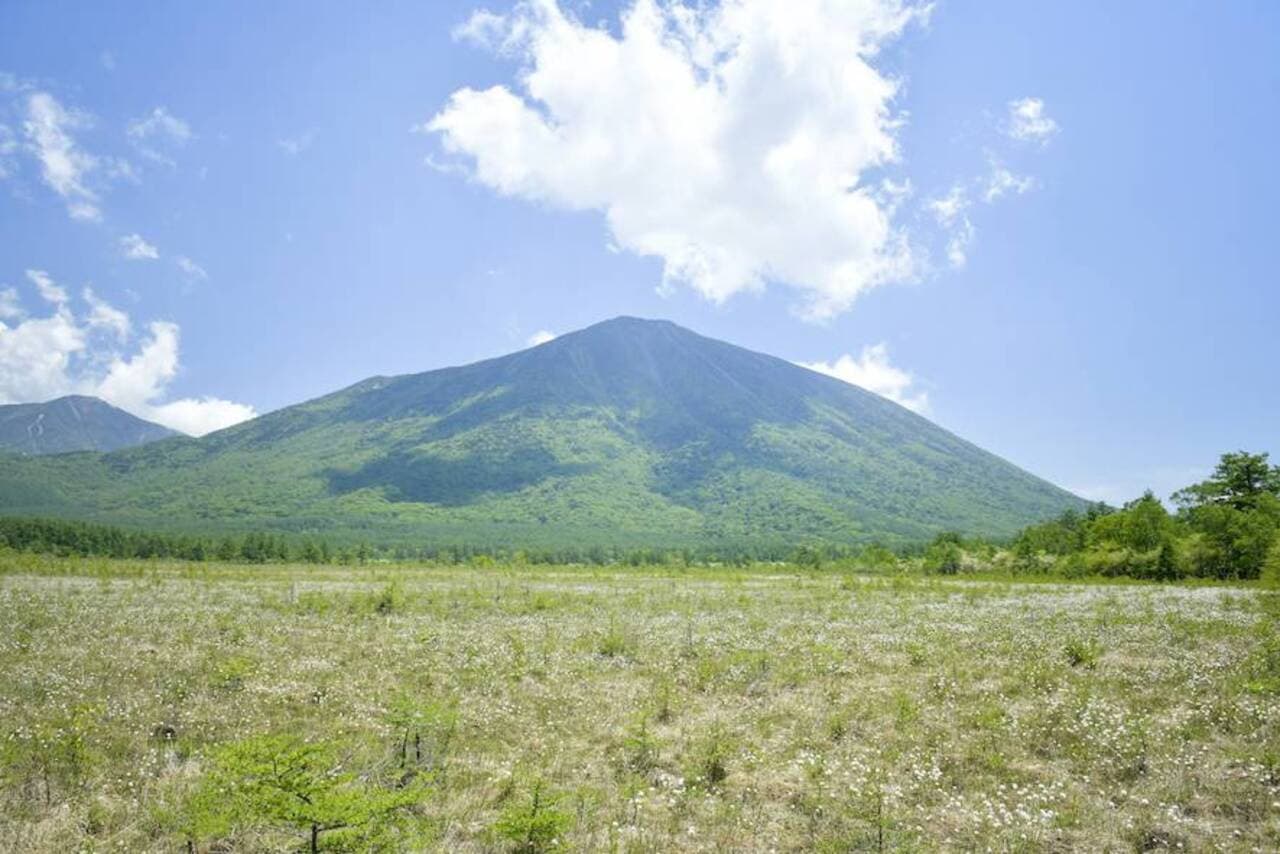 Nikko Pass All Area - სურათი 5