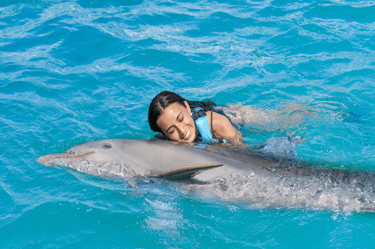 Go City Cancun Essentials Pass: 3 Attractions - სურათი 7