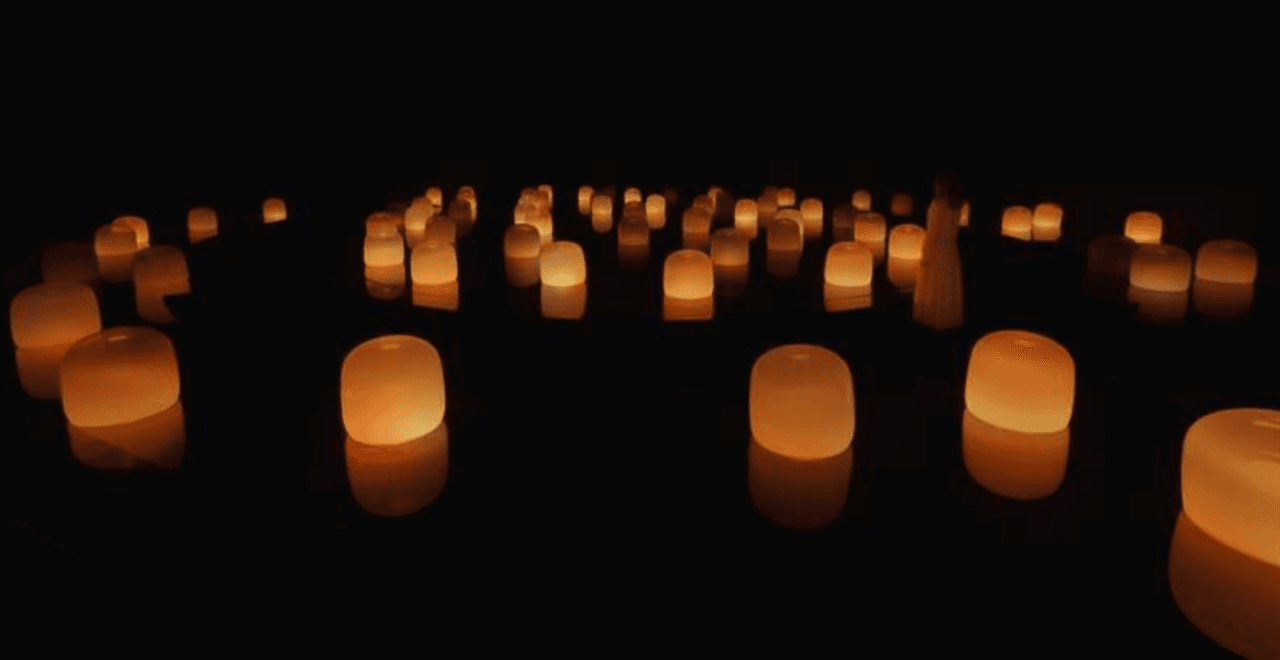 teamLab Phenomena Abu Dhabi Ticket - სურათი 15