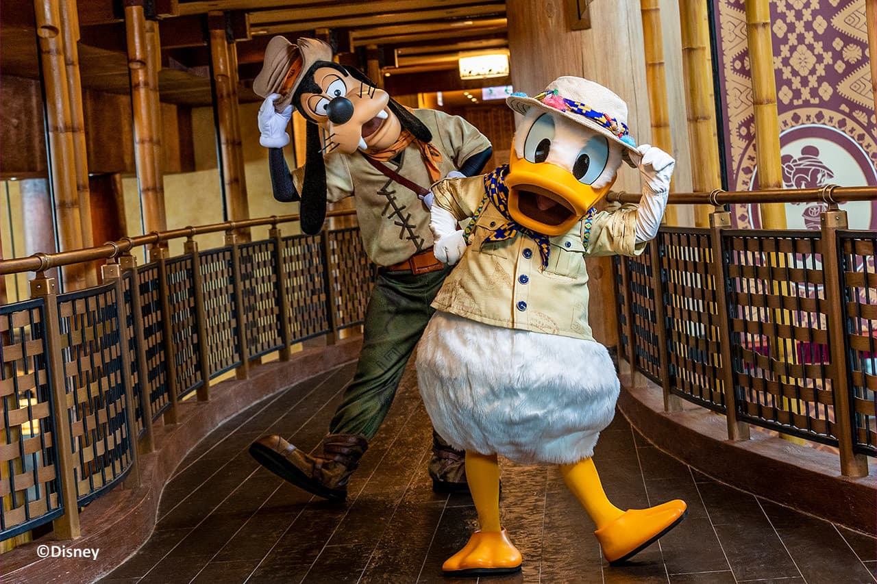 Hong Kong Disneyland Disney Premier Access Ticket - სურათი 48