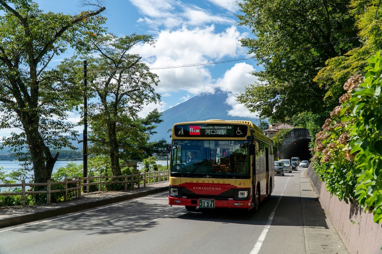 Fuji Hakone Pass - სურათი 5
