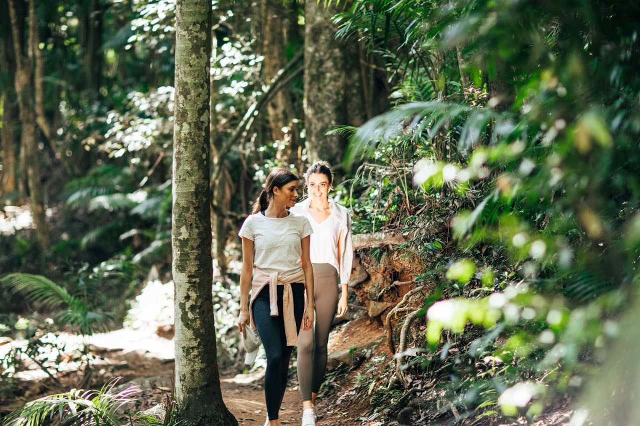 Tamborine Mountain Guided Walk and Wine Tasting Tour - მთავარი სურათი