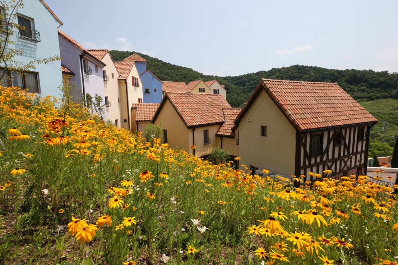 Nami Island, Petite France, and Italian Village Tour from Seoul - სურათი 5