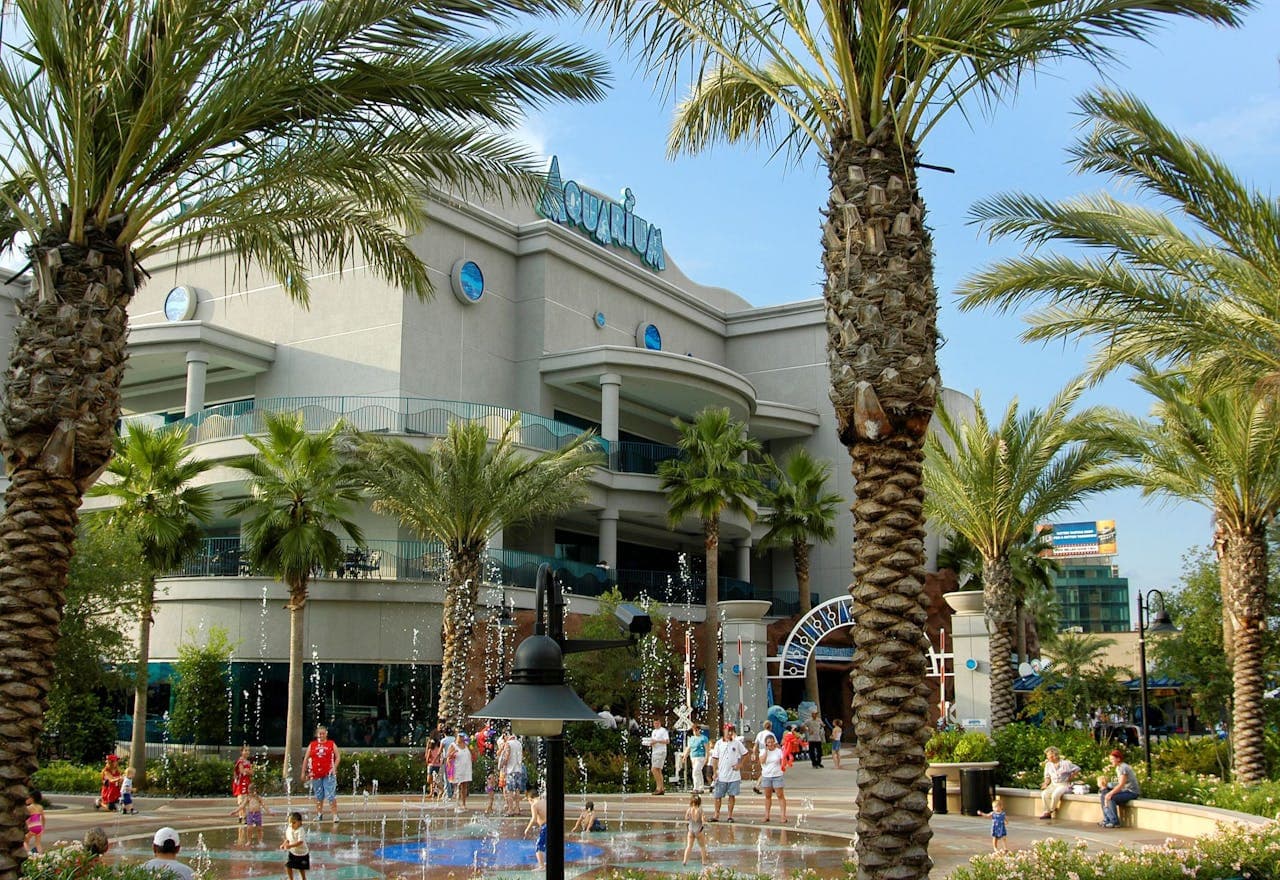 Downtown Aquarium Houston Ticket - სურათი 2
