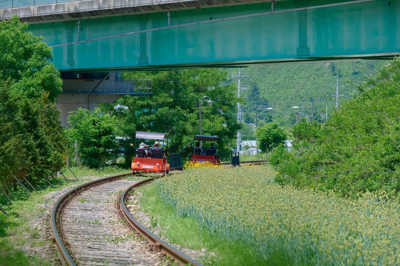 Nami Island, Mount Seorak, and Garden of Morning Calm Full-Day Tour from Seoul - სურათი 32