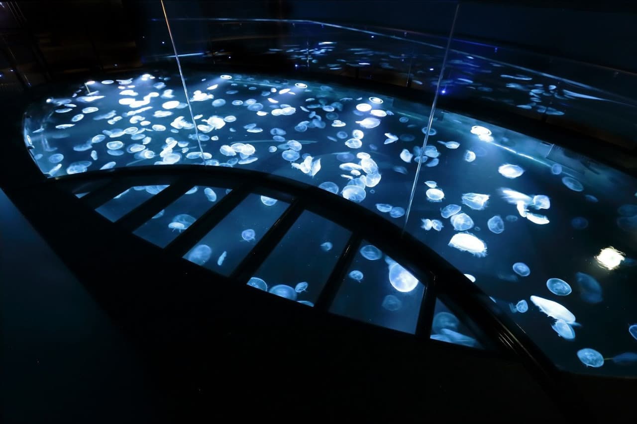 Sumida Aquarium Ticket - სურათი 3