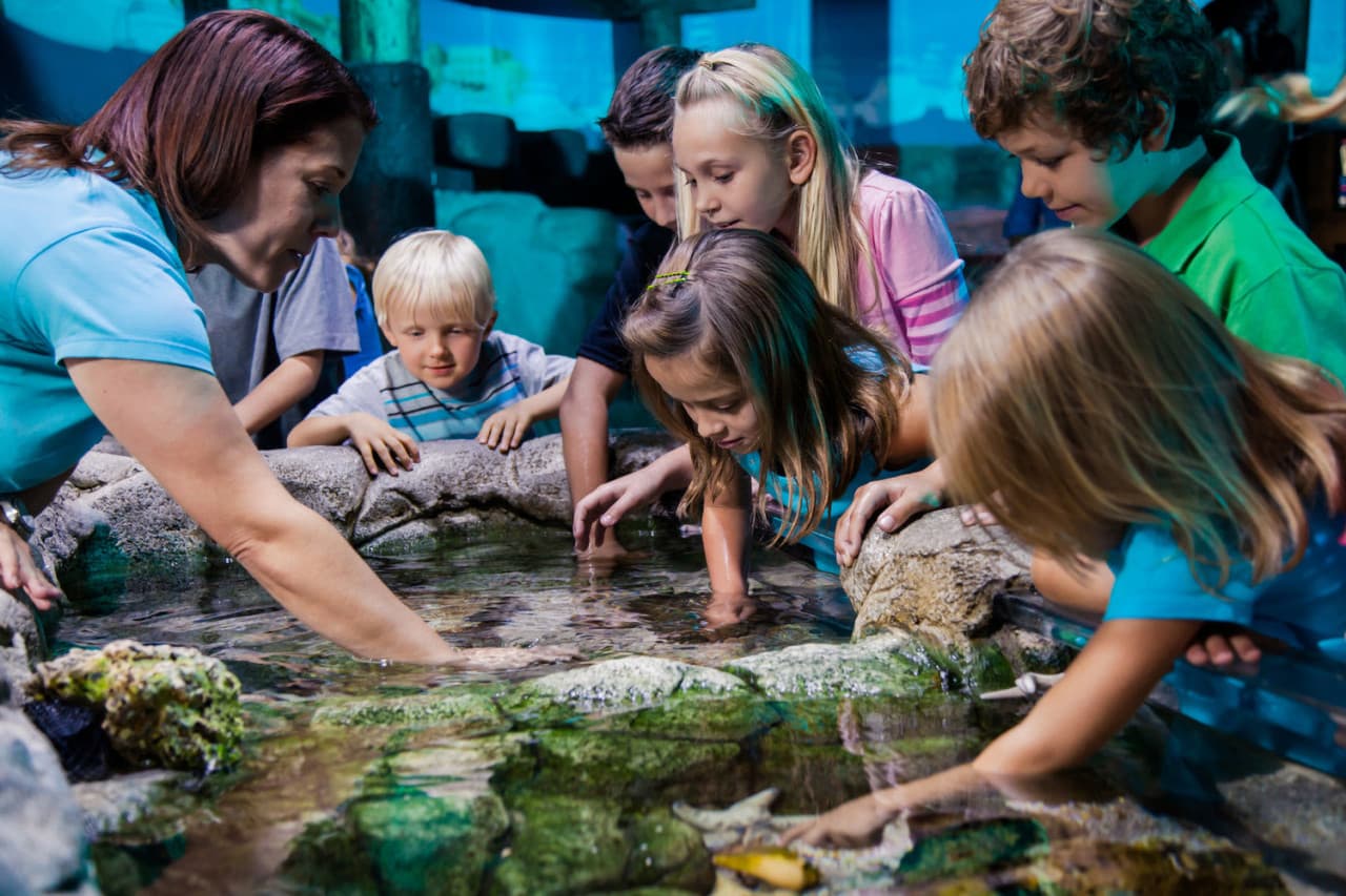 Go City Orlando Explorer Pass: Save up to 50% on Attractions - სურათი 23