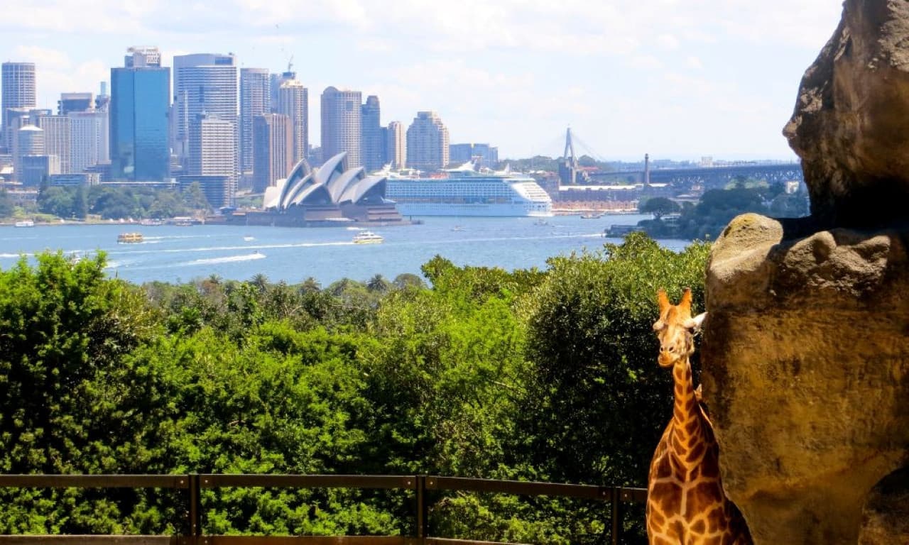 Taronga Zoo Ticket with Optional Round Trip Ferry - სურათი 9