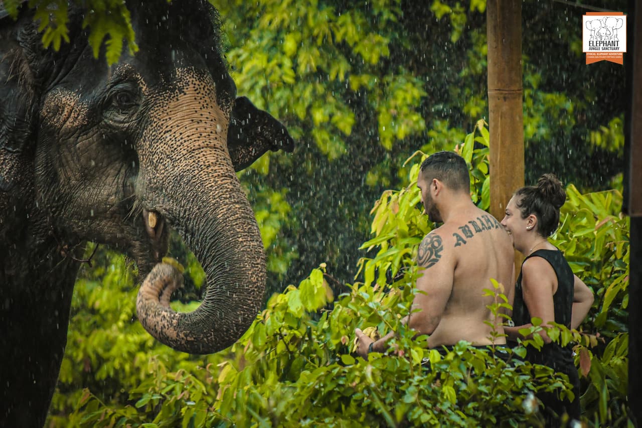 Elephant Jungle Sanctuary Phuket - სურათი 19
