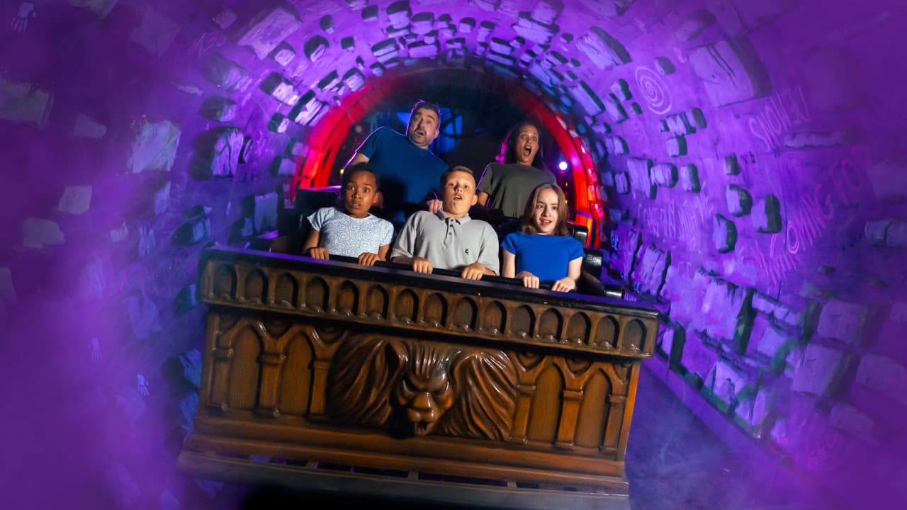 Alton Towers Ticket - სურათი 18