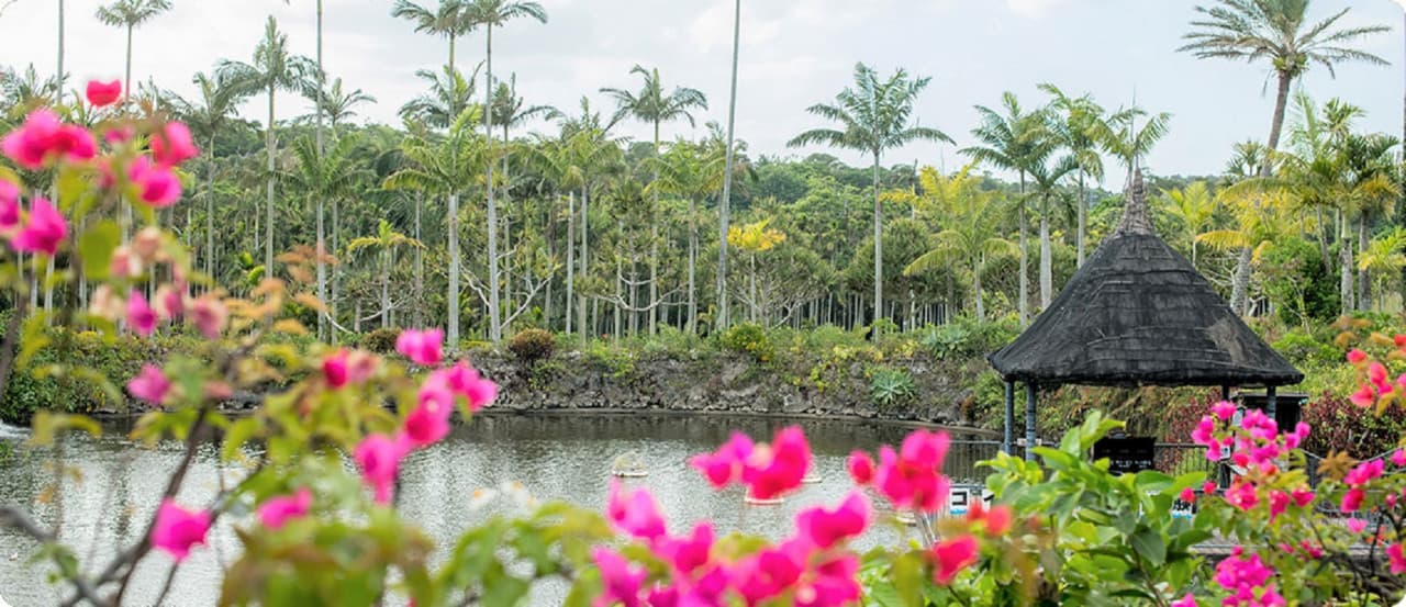 Okinawa Southeast Botanical Gardens - სურათი 13