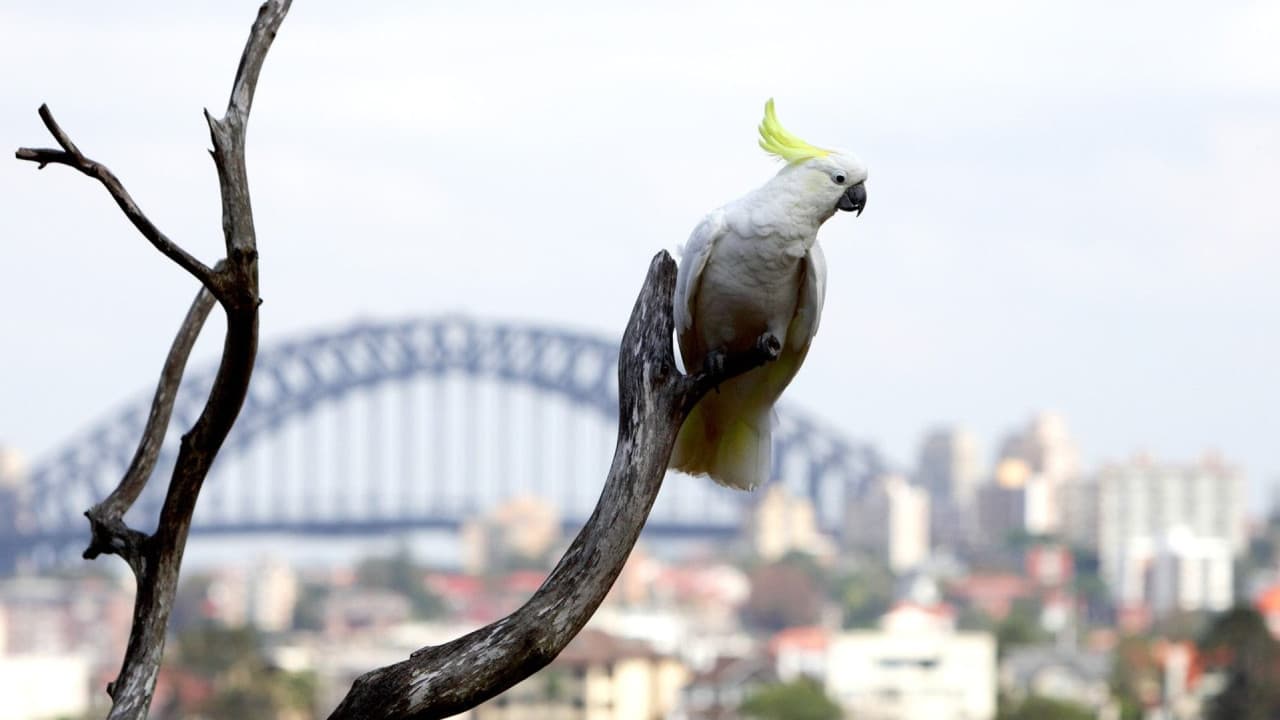 Taronga Zoo Ticket with Optional Round Trip Ferry - სურათი 4