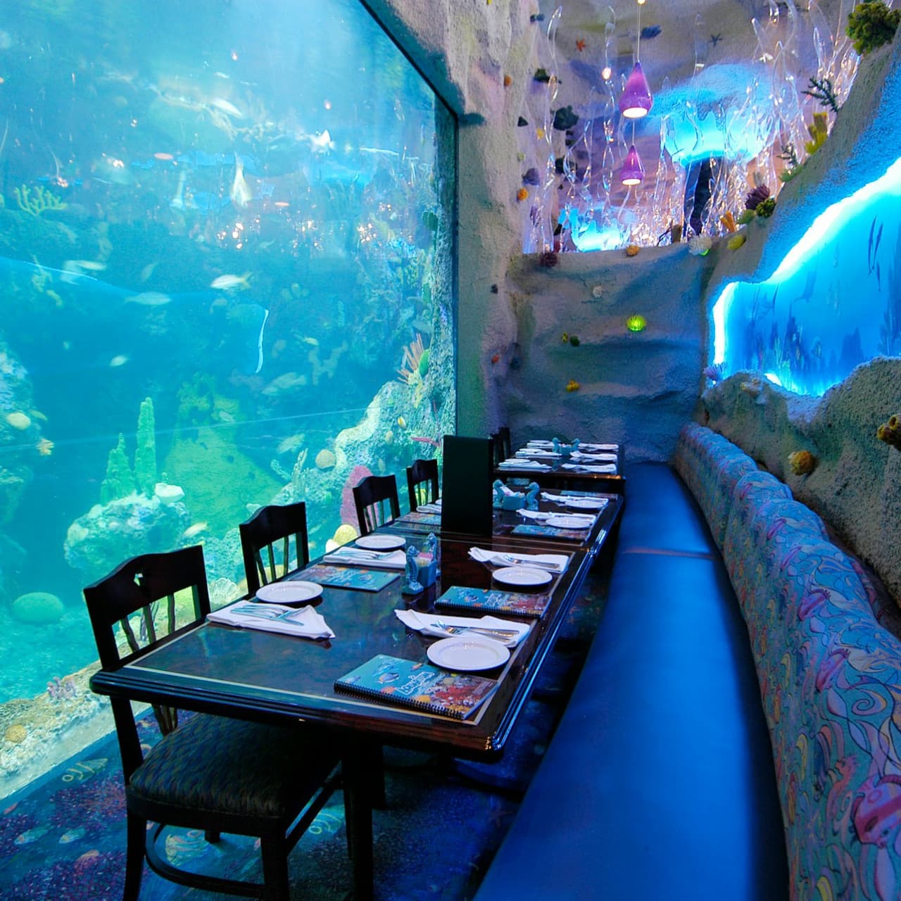 Downtown Aquarium Denver Ticket - სურათი 6