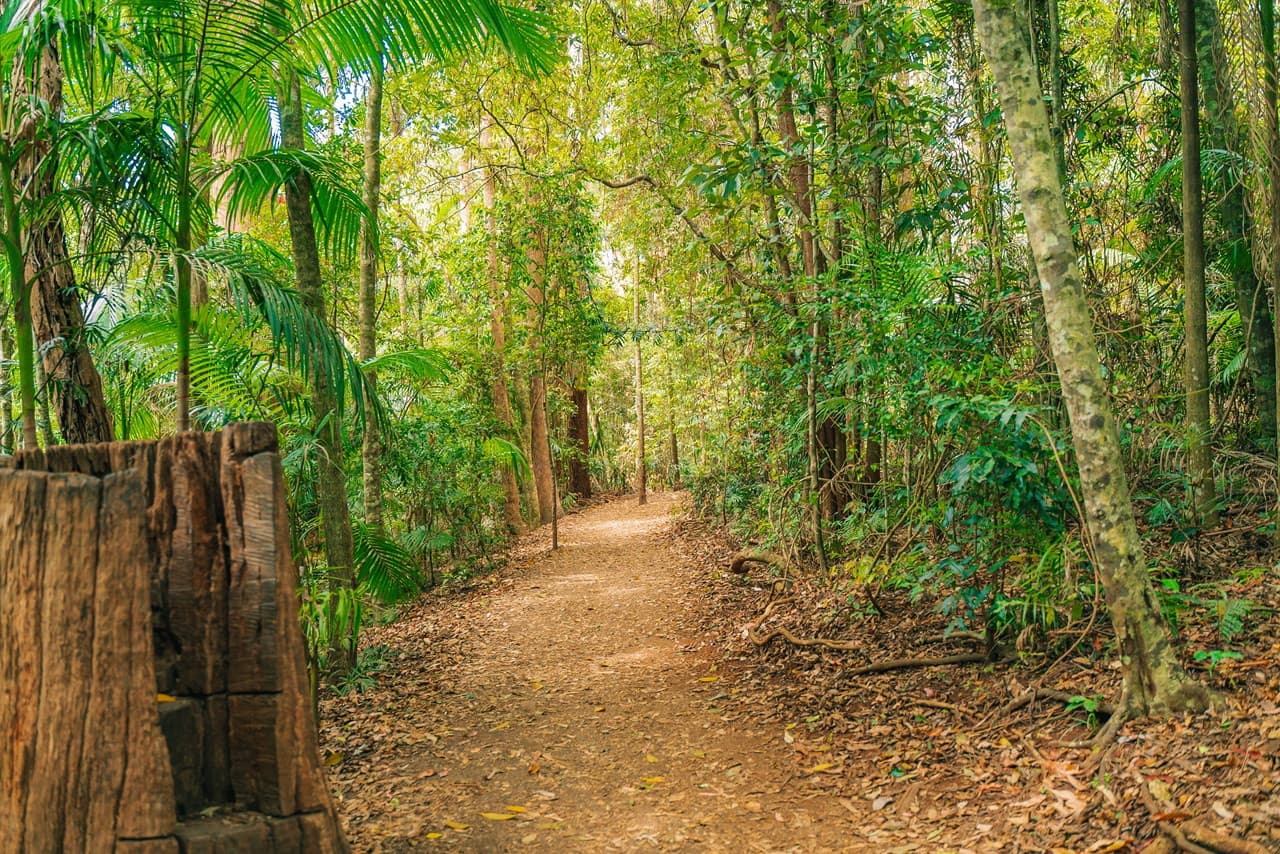 Tamborine Mountain Guided Walk and Wine Tasting Tour - სურათი 9